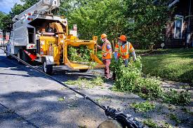 tree service grapevine tx